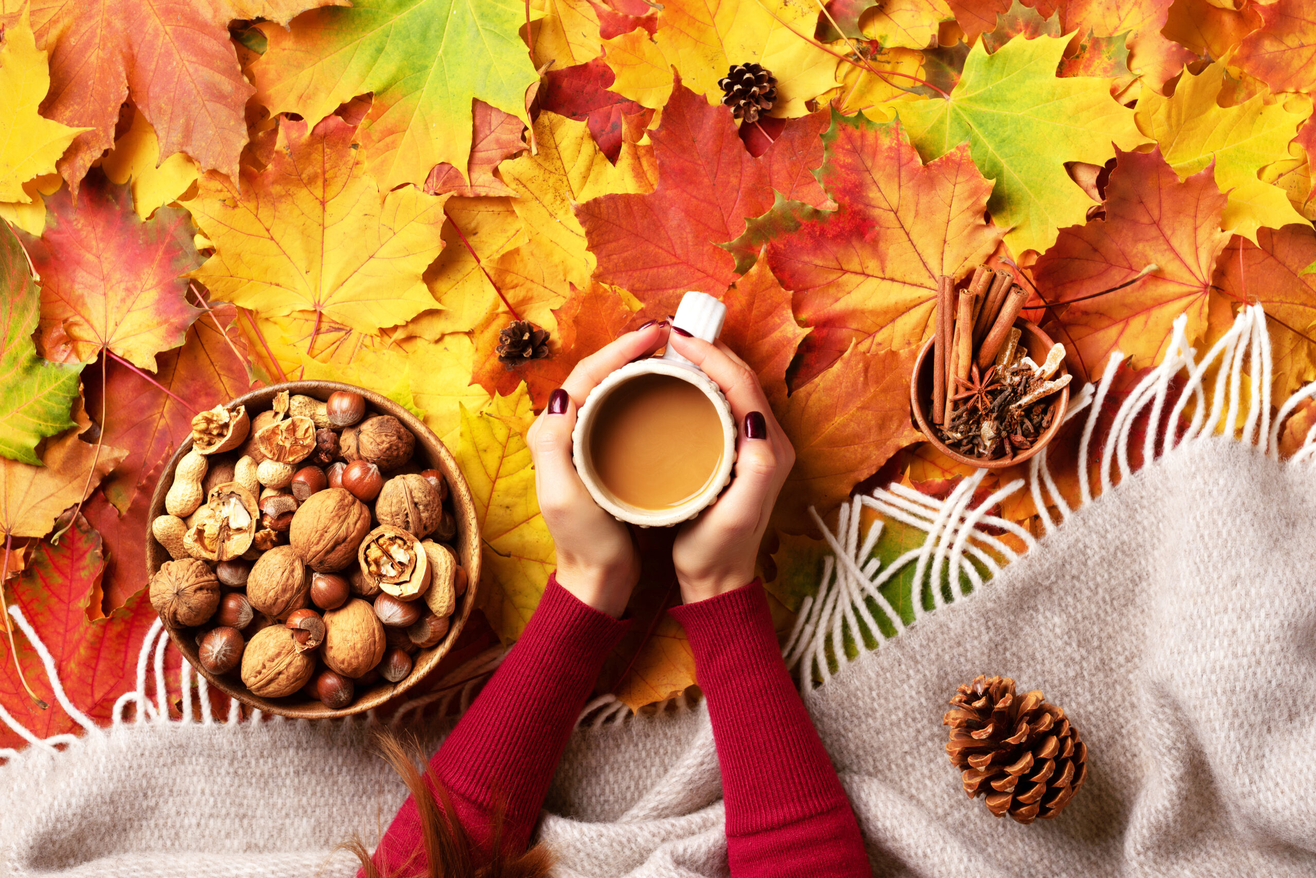 September Is the Perfect Time for a Wellness Reset—But You Don’t Need a Detox